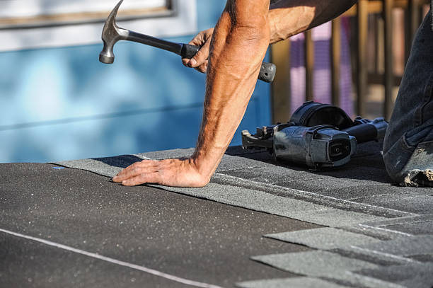 Affordable Storm Damage Roof Repair solutions in Vanleer, TN